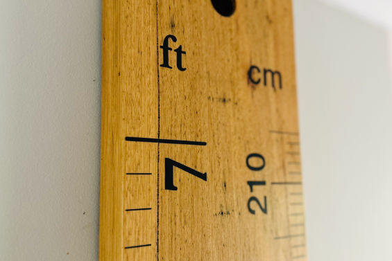 Timber Height Chart - Wall Mounted